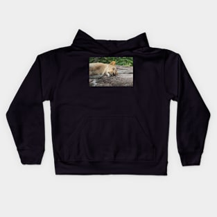 Beautiful Lion enjoying an afternoon nap Kids Hoodie